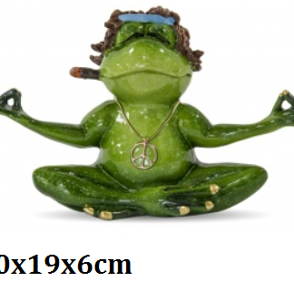 Konn Joogameister